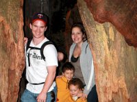 IMG_1353  Muir Woods:  The Carlson crew stands still long enough for a family photo in a redwood tree. : From MobileMe